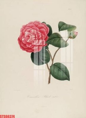 Tệp tin gốc Tranh sơn dầu phương tây tổng hợp STS66374 (chất lượng cao) Tranh sơn dầu phương tây tổng hợp STS66374