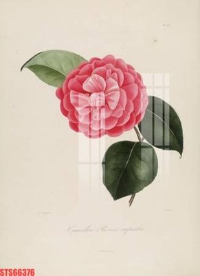 File gốc in mica Tranh sơn dầu phương tây tổng hợp STS66376 chất lượng