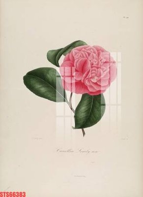 Mua file tranh gốc Tranh sơn dầu phương tây tổng hợp STS66383 tại Filetranh.com