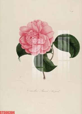 File in ấn Tranh sơn dầu phương tây tổng hợp STS66384 (bản gốc) sắc nét