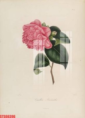 Download file Tranh sơn dầu phương tây tổng hợp STS66396 (gốc) in mica bàn thờ