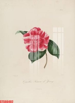 File gốc in ấn Tranh sơn dầu phương tây tổng hợp STS66402 độ phân giải cao