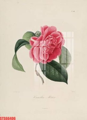 File PSD Tranh sơn dầu phương tây tổng hợp STS66406 (bản gốc) cho nhà in