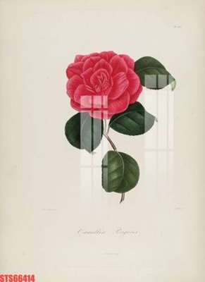 Tải file Tranh sơn dầu phương tây tổng hợp STS66414 (gốc) để in ấn ngay