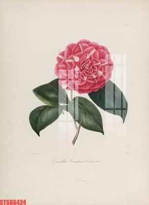 File tranh gốc Tranh sơn dầu phương tây tổng hợp STS66424 (bản quyền) file PSD