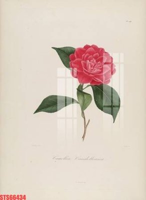 File tranh gốc Tranh sơn dầu phương tây tổng hợp STS66434 chủ đề hiện đại