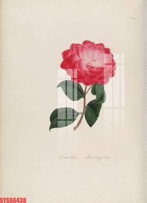 File tranh Tranh sơn dầu phương tây tổng hợp STS66438 (gốc) chủ đề động vật