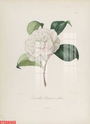 File gốc Tranh sơn dầu phương tây tổng hợp STS66443 (in lụa) tranh phong thủy