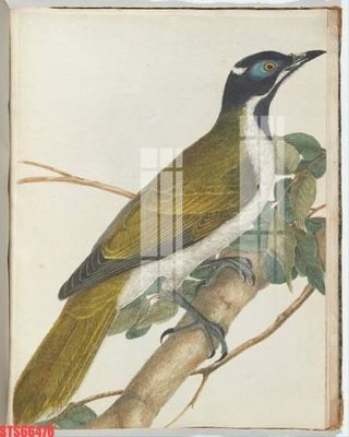 File gốc Tranh sơn dầu phương tây tổng hợp STS66476 (PSD/TIFF) độ phân giải cao