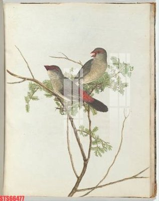 File in lụa Tranh sơn dầu phương tây tổng hợp STS66477 (tân cổ điển) Tranh sơn dầu phương tây tổng hợp STS66477