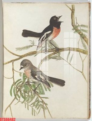 File gốc Tranh sơn dầu phương tây tổng hợp STS66482 (cho in ấn) từ kho Filetranh