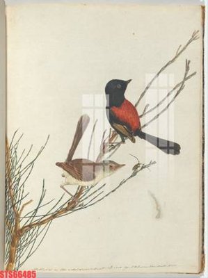 File tranh Tranh sơn dầu phương tây tổng hợp STS66485 (gốc) chủ đề tĩnh vật