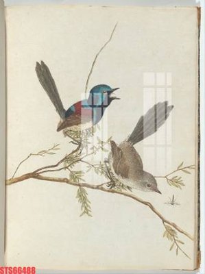 Download file tranh Tranh sơn dầu phương tây tổng hợp STS66488 (file gốc PSD)