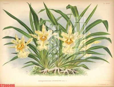 File tranh PSD Tranh sơn dầu phương tây tổng hợp STS66496 chất lượng cao