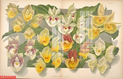 Tải file Tranh sơn dầu phương tây tổng hợp STS66498 (ảnh gốc) in gạch men