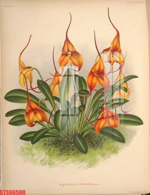 Tải file Tranh sơn dầu phương tây tổng hợp STS66500 (gốc) làm tranh treo tường