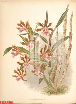 File tranh Tranh sơn dầu phương tây tổng hợp STS66504 (ảnh gốc) cho in ấn kỹ thuật số