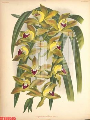 File tranh Tranh sơn dầu phương tây tổng hợp STS66505 (bản gốc) in canvas