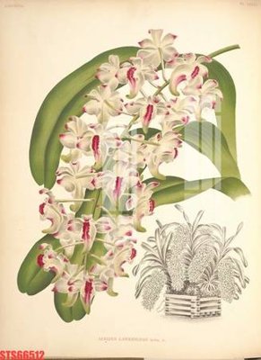 Download file Tranh sơn dầu phương tây tổng hợp STS66512 (gốc) in mica cao cấp