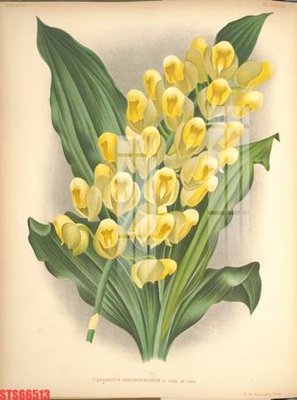 File gốc Tranh sơn dầu phương tây tổng hợp STS66513 (phong cách) tối giản