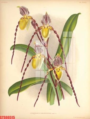 File ảnh gốc Tranh sơn dầu phương tây tổng hợp STS66515 không vỡ nét