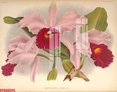 File gốc Tranh sơn dầu phương tây tổng hợp STS66525 (in 3D) cho trang trí