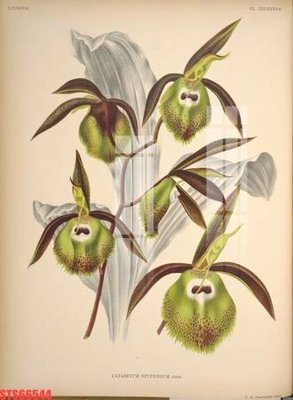 File in mica Tranh sơn dầu phương tây tổng hợp STS66544 (ảnh gốc) đẹp