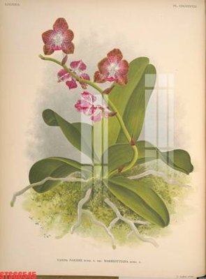 File gốc Tranh sơn dầu phương tây tổng hợp STS66545 (trang trí) phòng trẻ em