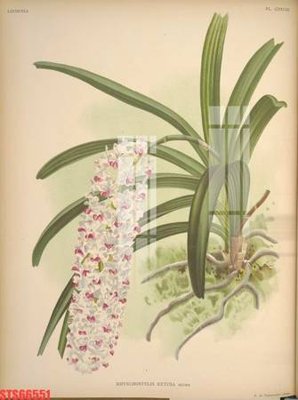 Tải file Tranh sơn dầu phương tây tổng hợp STS66551 (gốc) làm file tranh quảng cáo