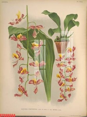 File PSD Tranh sơn dầu phương tây tổng hợp STS66564 (bản gốc) độ phân giải cao