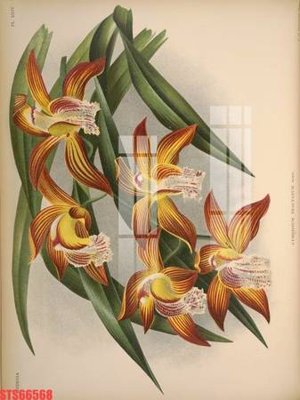 Download file tranh PSD Tranh sơn dầu phương tây tổng hợp STS66568 để chỉnh sửa