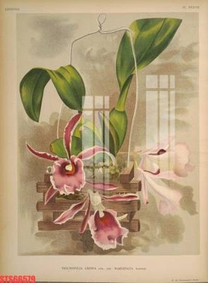 File tranh Tranh sơn dầu phương tây tổng hợp STS66579 (gốc) phong cách tối giản