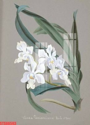 File tranh Tranh sơn dầu phương tây tổng hợp STS66583 (ảnh gốc) in trần 3D