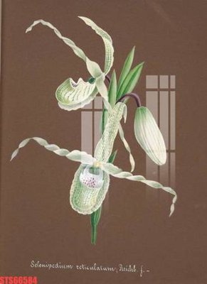 File tranh Tranh sơn dầu phương tây tổng hợp STS66584 (ảnh gốc) chi tiết rõ ràng