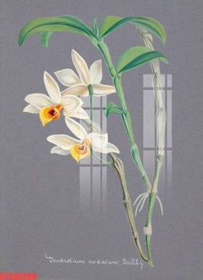 Download file Tranh sơn dầu phương tây tổng hợp STS66585 (gốc) in mica bàn thờ