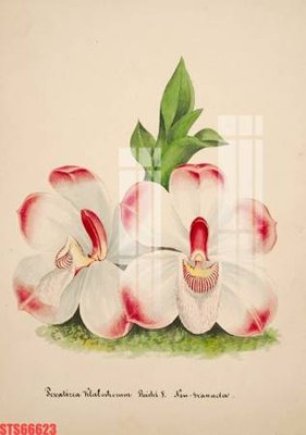 File gốc Tranh sơn dầu phương tây tổng hợp STS66623 (in 3D) nghệ thuật