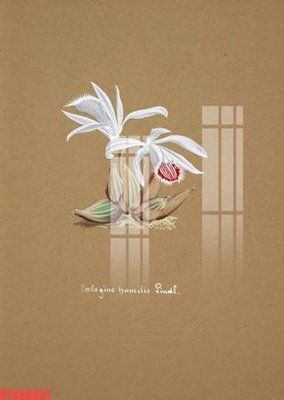 File gốc Tranh sơn dầu phương tây tổng hợp STS66631 (PNG) nền trong suốt