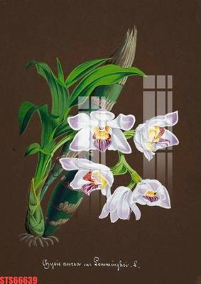 File gốc Tranh sơn dầu phương tây tổng hợp STS66639 (in mica) làm quà tặng