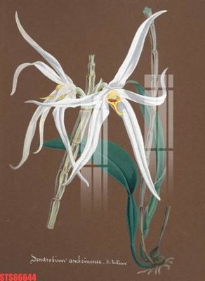 File tranh Tranh sơn dầu phương tây tổng hợp STS66644 (bản gốc) in lụa 3D