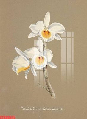 File gốc Tranh sơn dầu phương tây tổng hợp STS66645 (in 3D) nghệ thuật