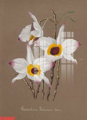 File in trần Tranh sơn dầu phương tây tổng hợp STS66647 (bản gốc 3D) sống động