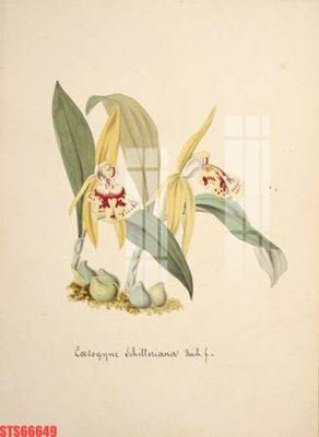 File gốc Tranh sơn dầu phương tây tổng hợp STS66649 cho in ấn và thiết kế