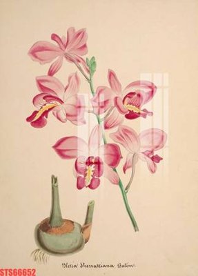 File tranh Tranh sơn dầu phương tây tổng hợp STS66652 (bản gốc) treo phòng ăn