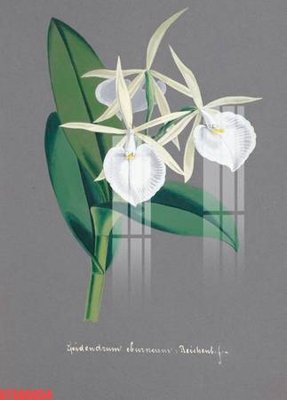 File tranh Tranh sơn dầu phương tây tổng hợp STS66654 (ảnh gốc) không bị mờ