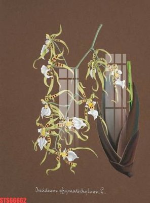 File gốc Tranh sơn dầu phương tây tổng hợp STS66662 (in mica) làm bảng hiệu