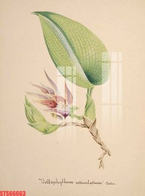 Cung cấp file tranh gốc Tranh sơn dầu phương tây tổng hợp STS66663 độc quyền