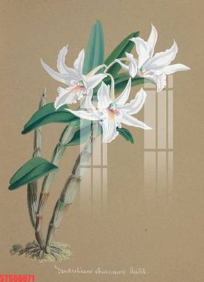 File in ấn chuyên nghiệp Tranh sơn dầu phương tây tổng hợp STS66671 (file gốc)