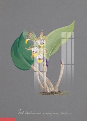 File gốc in ấn Tranh sơn dầu phương tây tổng hợp STS66673 chuẩn màu CMYK