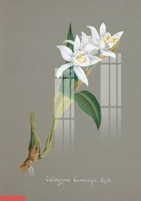 File gốc Tranh sơn dầu phương tây tổng hợp STS66675 (ảnh chi tiết) để in ấn