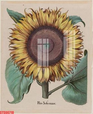 File tranh Tranh sơn dầu phương tây tổng hợp STS66710 (ảnh gốc) chi tiết rõ ràng